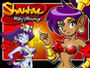 Front cover of Shantae: Risky's Revenge for Nintendo DS